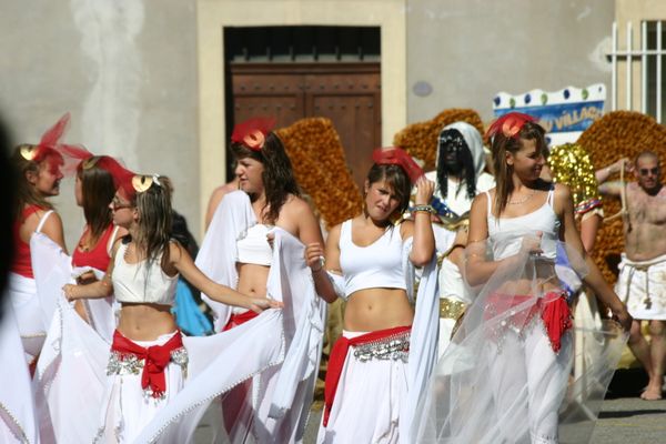 2010_aout_cavalcade-montesquieu-002.jpg