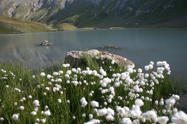 100823 Lac du Goléon 026