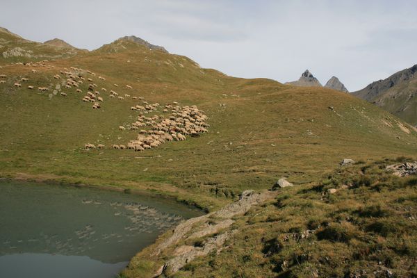 100823 Lac du Goléon 048