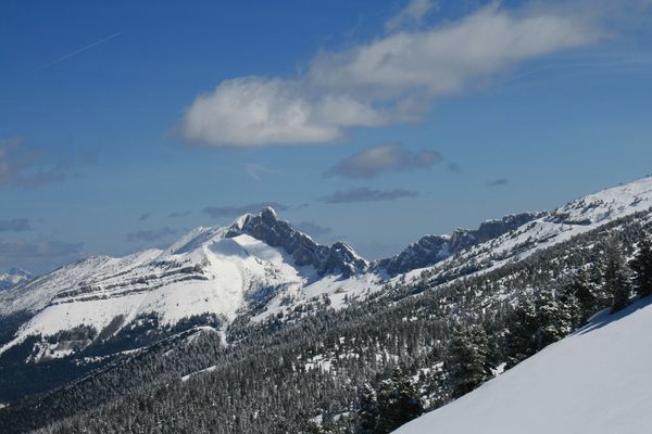100406 Petite Moucherolle 009