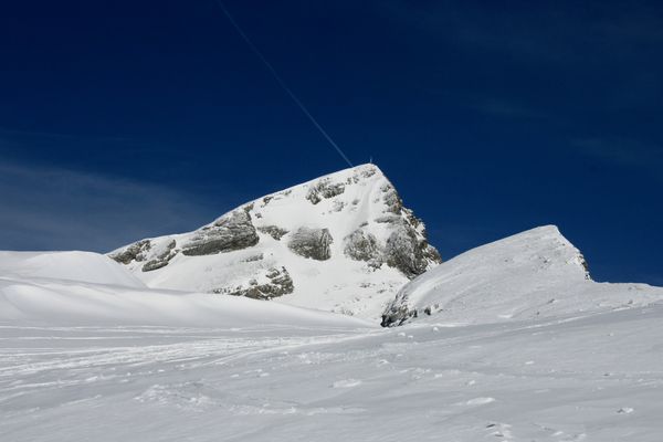 100406 Petite Moucherolle 053