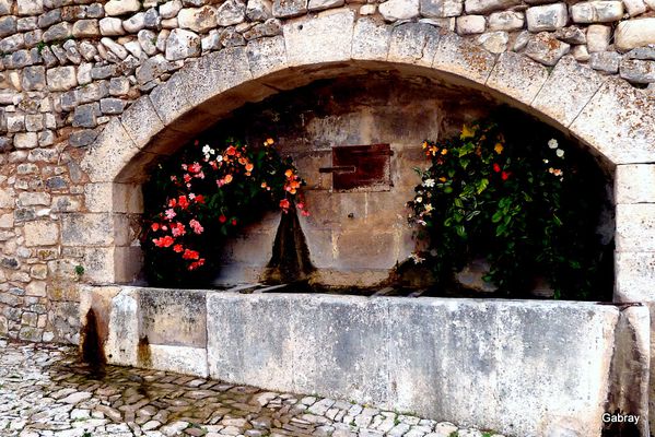 o02---Puits-fleuri.JPG