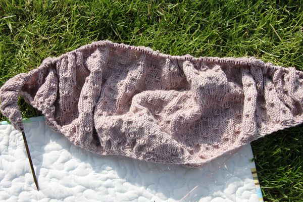 Tricot-bis-4797.JPG