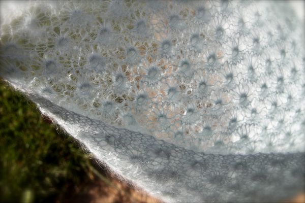 Tricot-tris-5498.JPG