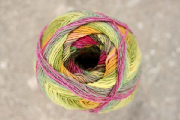 Tricot-6003.JPG