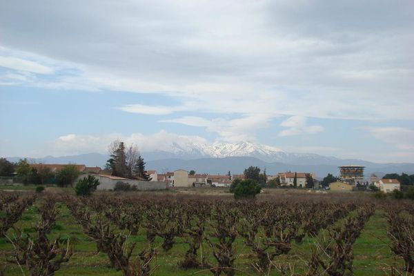 Mont Canigou 24mars2010 vu de Terrats DSC03651