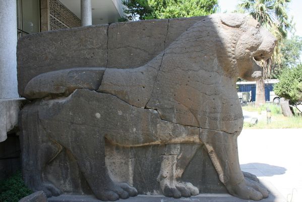 Lion d'Alep0001
