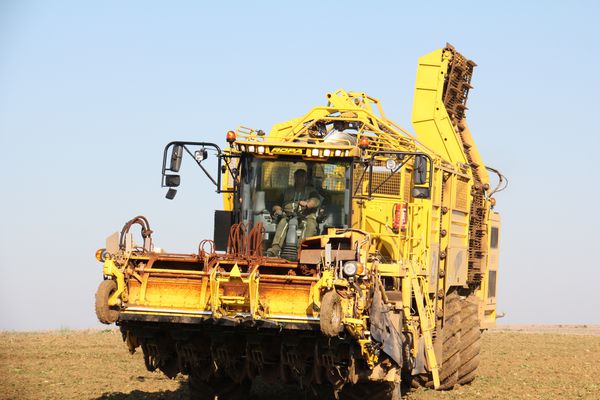 Agriculture 4046