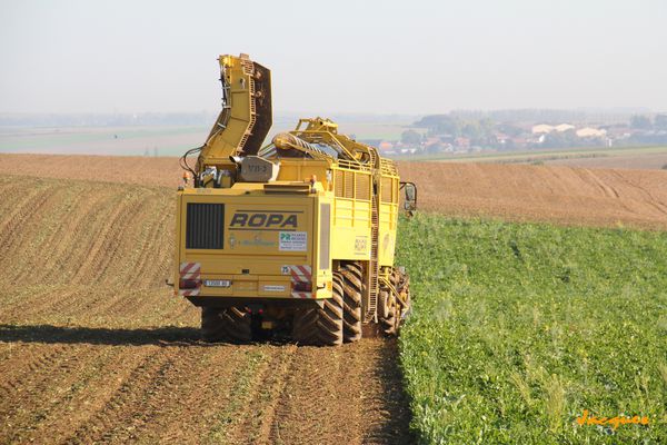 Agriculture 4048-copie-1
