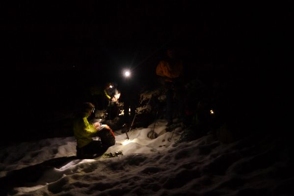 chardonnet VN 01