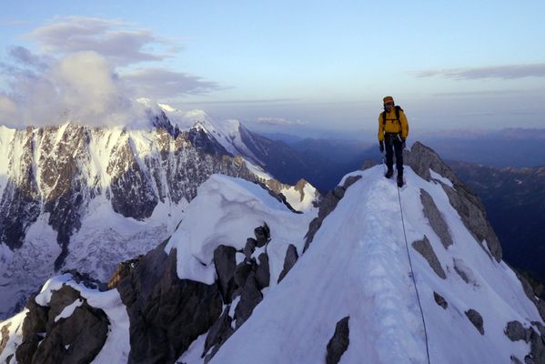 chardonnet VN 11