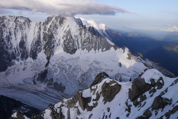 chardonnet VN 19