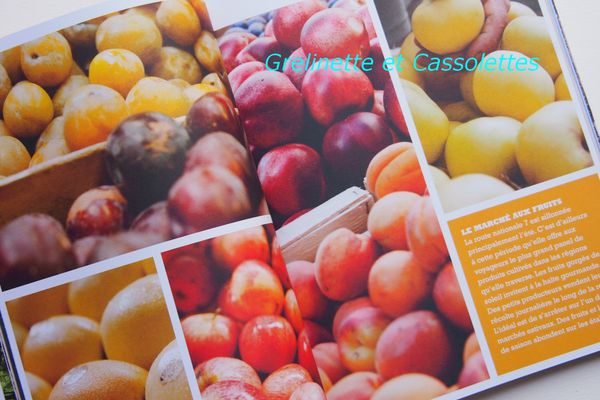 FruitsT.jpg
