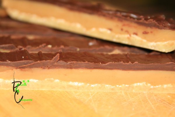 mars2011_41-copie.jpg