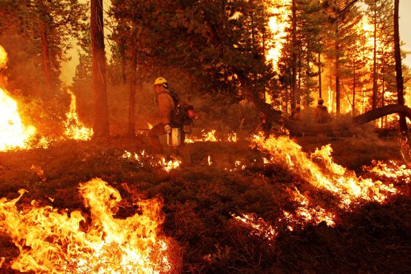 Incendie - Rim Fire - USFS - Yosemite - Drip torch - Burn ops