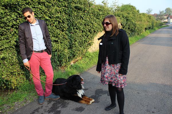famille bouvier bernois