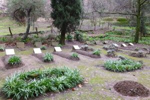 Tibhirine-cimetiere.jpg