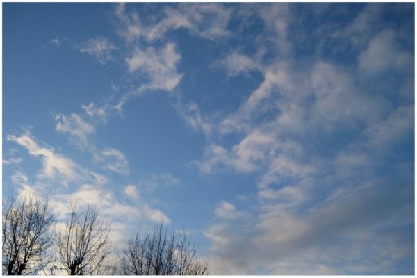 Pictures42.jpg