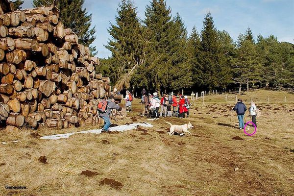 Puy de la vache 30 01 13 (5)
