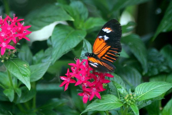 test-076.JPG