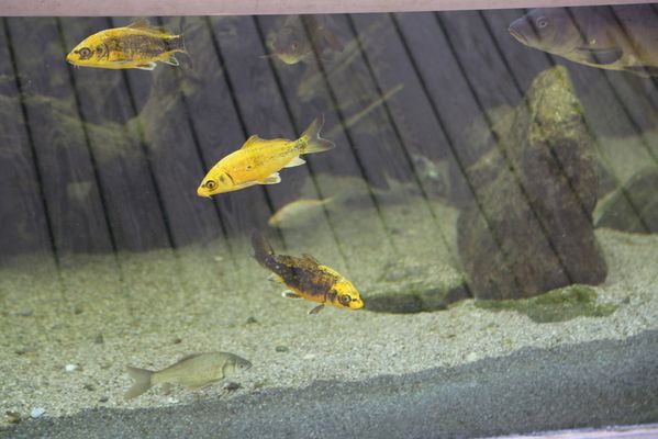 test-522.JPG