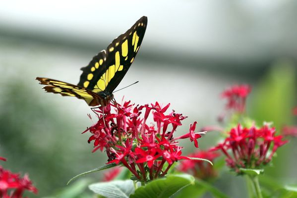test-340.JPG