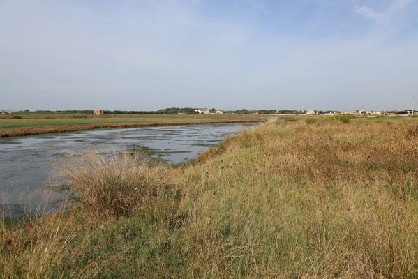 LA0A4059.JPG