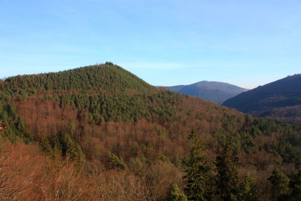 Froensbourg 0995