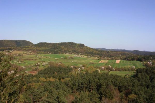 Le-rocher-du-Dragon 0373