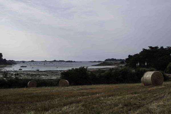 Port-Blanc-2012-4.jpg