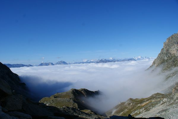 DSC05220