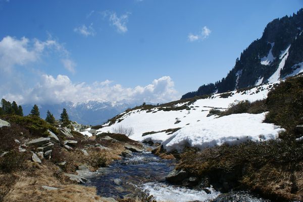 DSC03957-copie-1.JPG