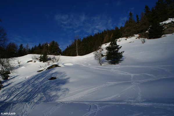 DSC01210