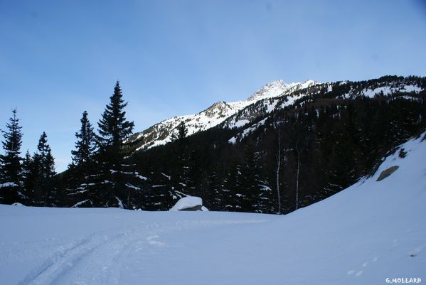 DSC01222