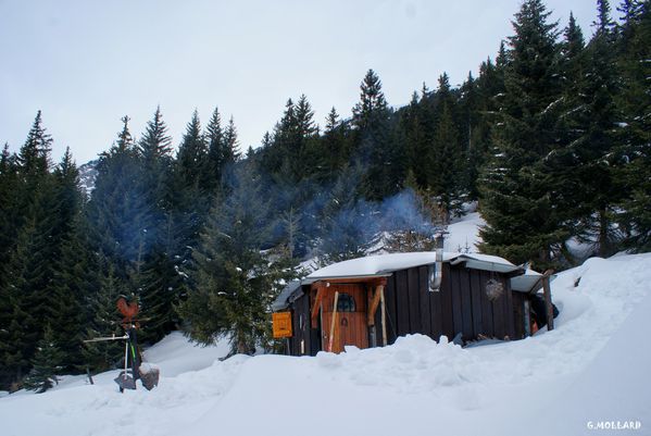 DSC01257