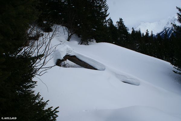 DSC01268