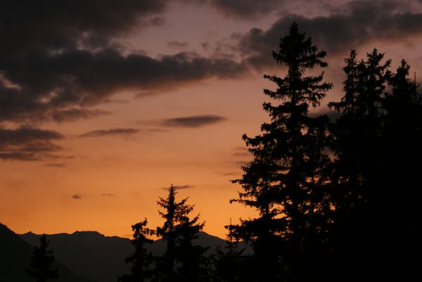 DSC06055
