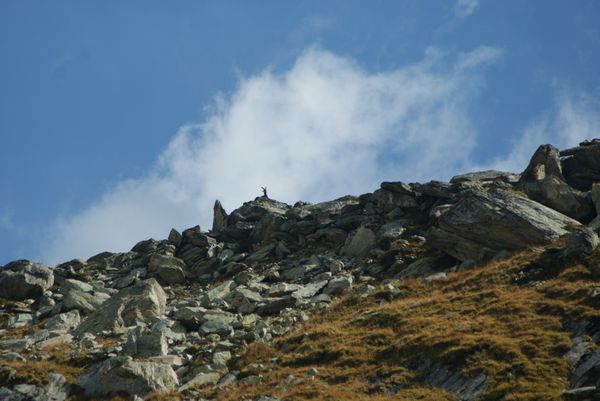 DSC06150