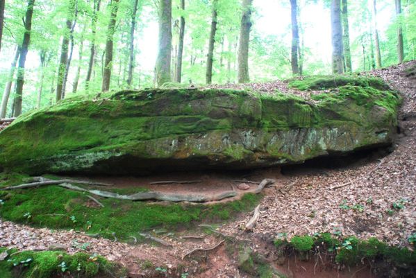 B24 - Lemberg
