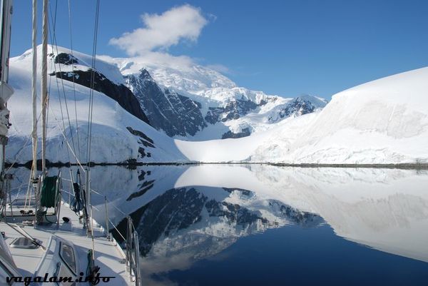 Antarctique 0396 4
