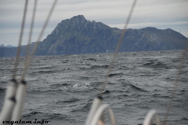 Antarctique3 0558
