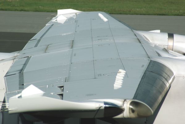 IMGP2681
