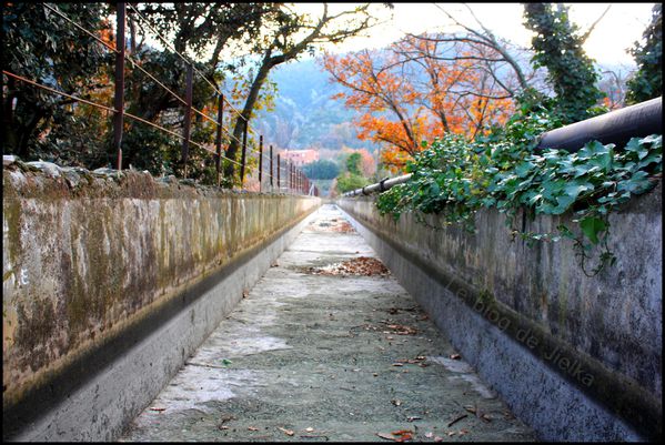 canal--2-.JPG