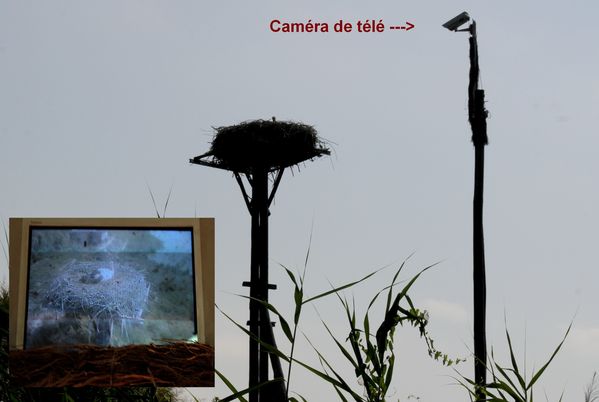 Camera-de-tele.jpg