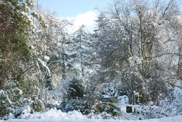 neige-060
