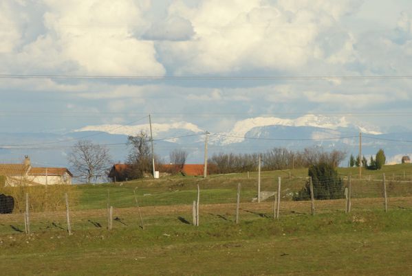 DSC04612