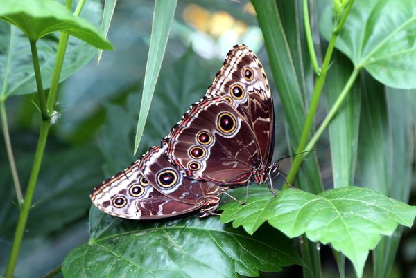 test-231.JPG