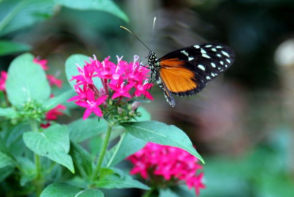 test-466.JPG