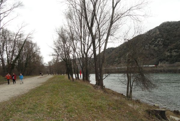 DSC04588