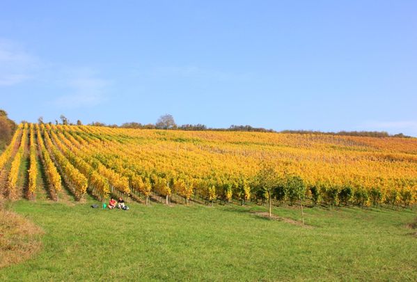 Goeftberg 0496